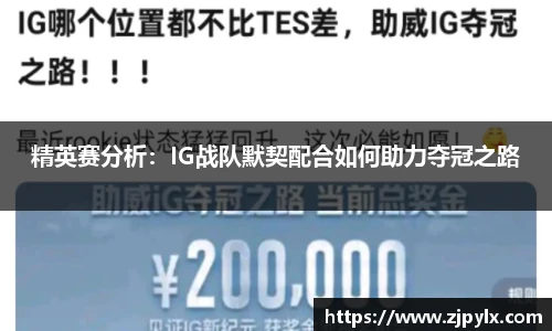精英赛分析：IG战队默契配合如何助力夺冠之路