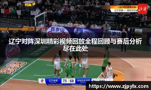 辽宁对阵深圳精彩视频回放全程回顾与赛后分析尽在此处